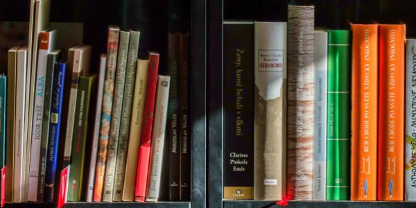 Imagem de livros organizados em uma prateleira de estante ocupada por livros